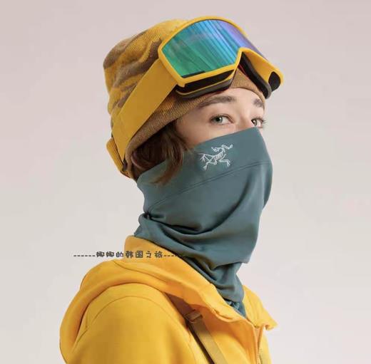 最后28条结束！祖鸟Arxxxxteryx Rho Lightweight户外抓绒脖套  骨架鸟脖套 商品图0