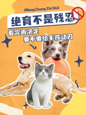 绝育不是残忍！科学养宠必看