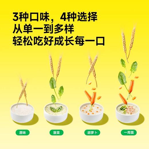 窝小芽面条类合集 商品图3