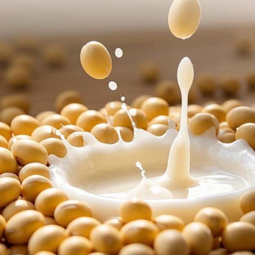 素食大豆酸奶 薛三三 非转基因大豆矿泉水磨浆 早餐代餐奶 商品图3