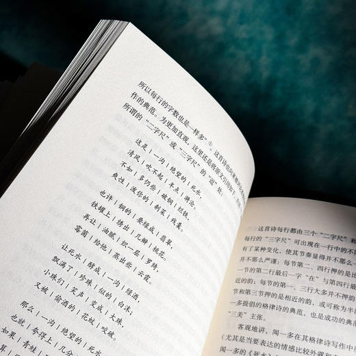 文体、翻译和新旧之争 中国新诗的现代性之路 大夏书系 陈太胜 商品图10