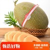 切片放心西州蜜哈密瓜 商品缩略图0