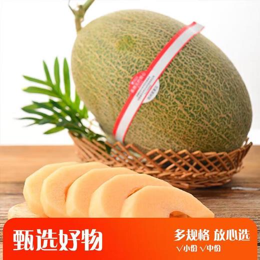 切片放心西州蜜哈密瓜 商品图0