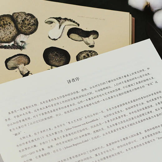 【复古艺术馆13】蘑菇王国 商品图4