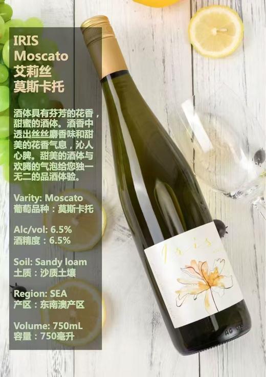 喜斯顿白莫斯卡托微气泡葡萄酒 商品图0