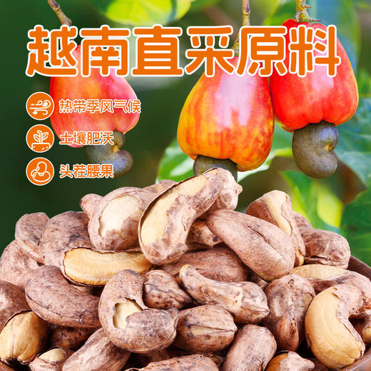 皇家臻味-越南紫衣腰果 2023 TC 商品图2