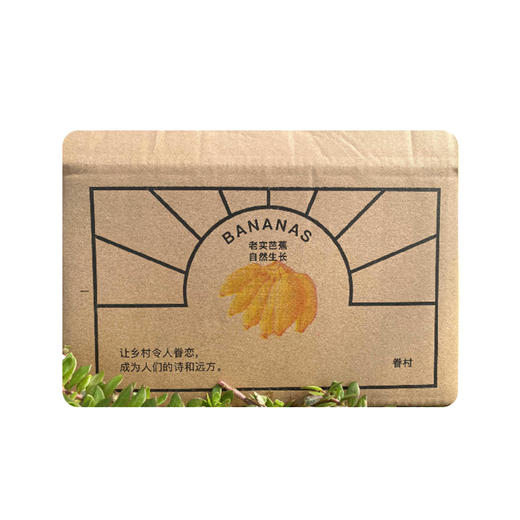 【95折】有机老实芭蕉 | 3斤/4.8斤 香甜绵软不硬芯 皮薄肉厚 云南高山有机芭蕉 现摘现发 柠檬君「72小时内发货」(稻草摩擦造成的表皮发黑属于正常情况，轻微压伤不是坏果不影响食用) 商品图11
