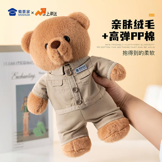 【实付满199送钥匙扣】【电网小熊】可定制创意毛绒职业小熊公仔儿童玩具服装可脱送礼礼物 商品图3