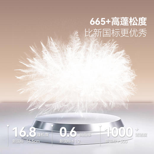 男童中长款羽绒服冬季新款安奈儿童装EB545603 商品图2