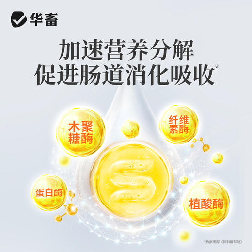 华畜益生菌+复合酶500g 调理肠道促进吸收提高饲料转化率 降低氨气 商品图3