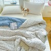 a类新款糯叽叽ins风双层纱水洗棉加厚冬被被子被芯 商品缩略图2