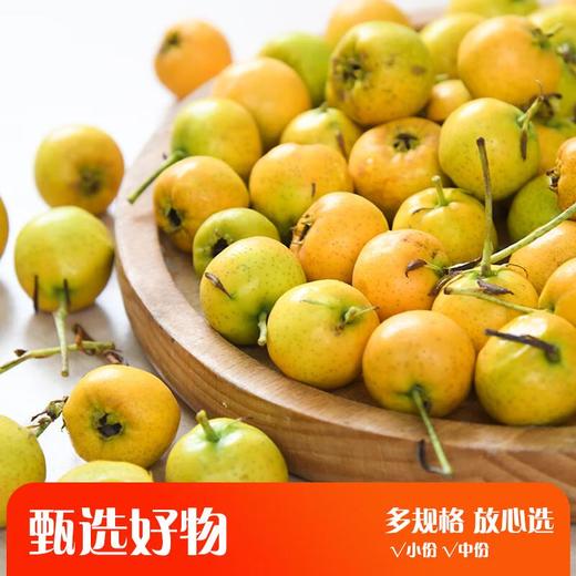 迷你黄山楂 商品图0