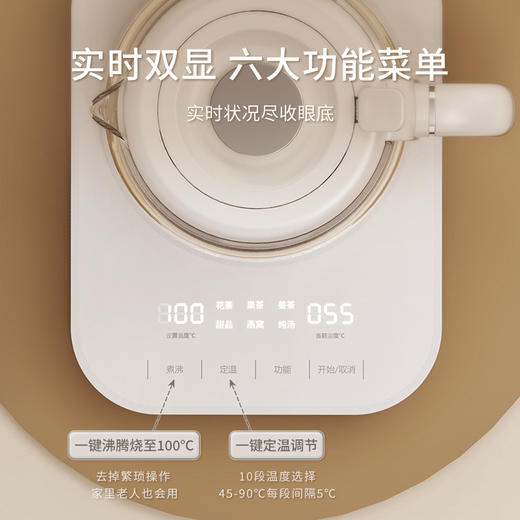 【CEOOL总裁小姐养生壶】多功能电热水壶j 办公室煮茶器家用小型煮粥、煮水、煮甜品 商品图6