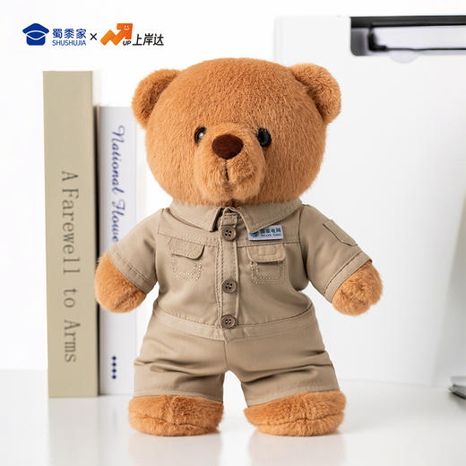 【实付满199送钥匙扣】【电网小熊】可定制创意毛绒职业小熊公仔儿童玩具服装可脱送礼礼物 商品图6