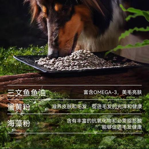 笑宠全价鲜肉无谷狗粮 高蛋白犬粮 全年龄段  幼犬狗粮 商品图2