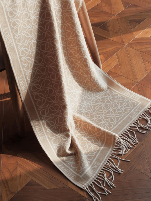 WJ11-罗意威 羊绒围巾（QZ*MM） 商品图4