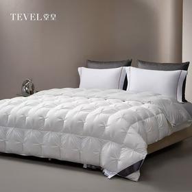 【堂皇】B7F 堂皇净眠锁温匈牙利95鹅绒冬被-白灰220x240cm胎重1250g