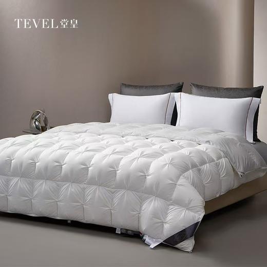 【堂皇】B7F 堂皇净眠锁温匈牙利95鹅绒冬被-白灰220x240cm胎重1250g 商品图0