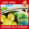 京鲜生 长城河北雪花梨 冰糖雪梨 5斤装 单果300g+ 生鲜水果 商品缩略图2