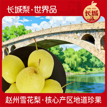 京鲜生 长城河北雪花梨 冰糖雪梨 5斤装 单果300g+ 生鲜水果 商品图2