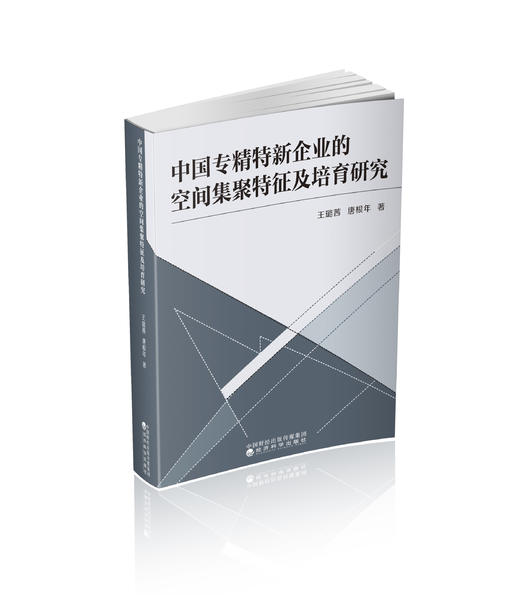 中国专精特新企业的空间集聚特征及培育研究 商品图0