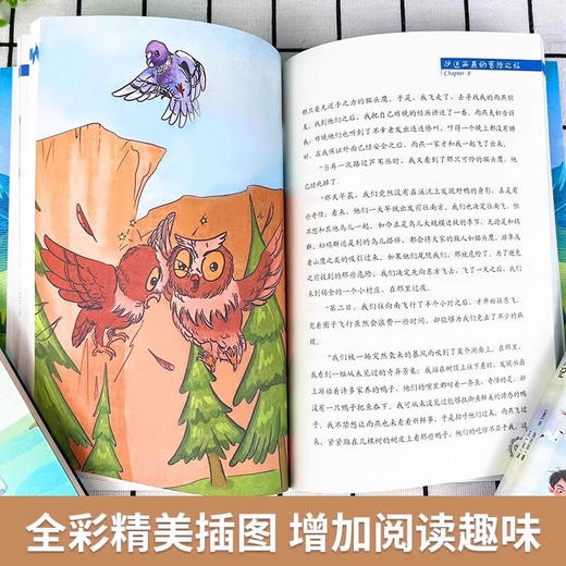 纽伯瑞儿童文学奖金奖全套12册 （盒装） 商品图4