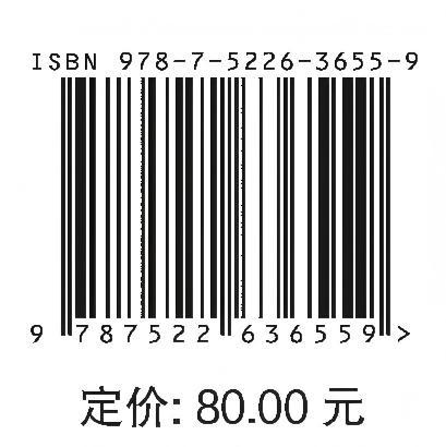 城市河湖水系生态重构与保障技术 商品图4