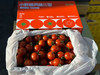 小野菊番茄🍅釜山88小番茄，花恬喜柿 千禧番茄野 商品缩略图12