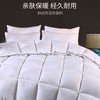 希尔顿专用羽丝绒被（8斤） 商品缩略图0