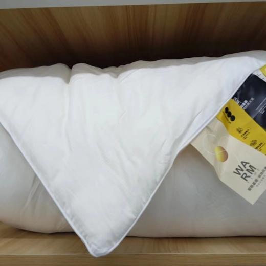芳恩全棉贡缎大豆被FN-86098  2*2.3m 商品图0