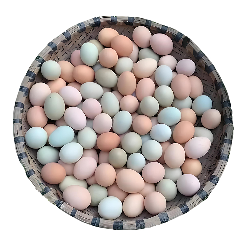 【美佳·惠生活】耘光里农场散养土鸡蛋现捡先发30枚