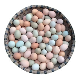 【美佳·惠生活】耘光里农场散养土鸡蛋现捡先发30枚