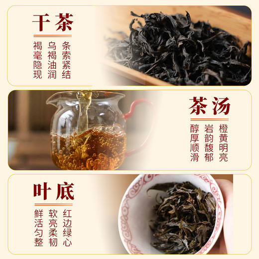 【魔造】一等奖纯种大红袍50g 商品图3