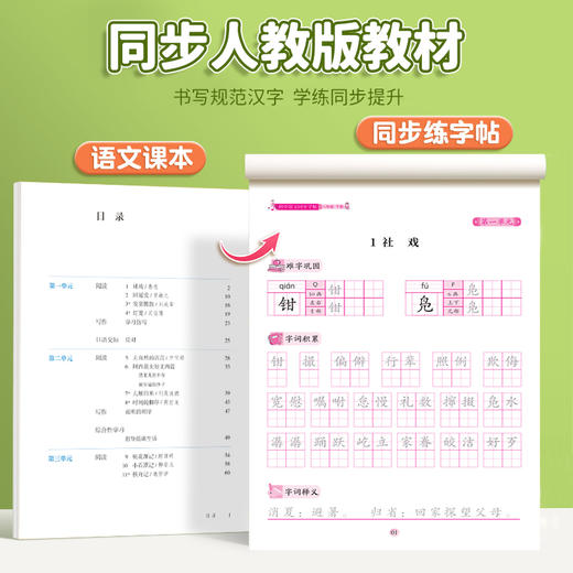 初中语文同步字帖  八年级  下册 商品图3