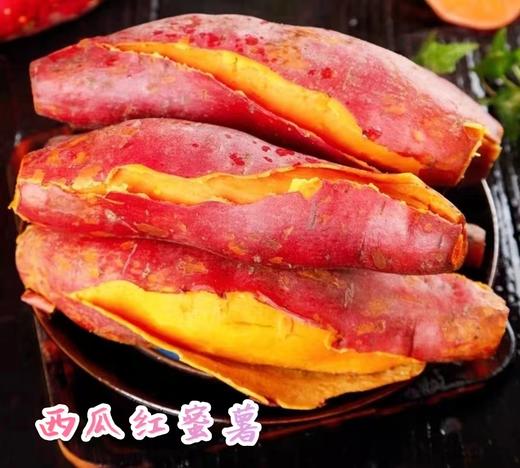 郭老师家酵素种植蔬菜 白菜、胡萝卜、贵族南瓜、红薯、芋艿 辽宁光海农场八年酵素种植蔬菜 商品图1