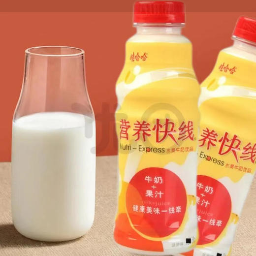 娃哈哈 营养快线 水果牛奶饮品菠萝味 500g/瓶 商品图0