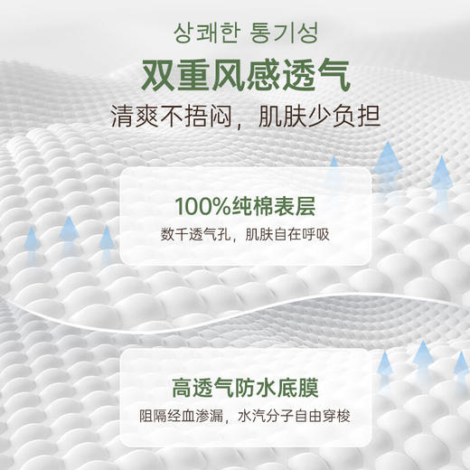 恩芝日用16片卫生巾100%纯棉 240mm 商品图6