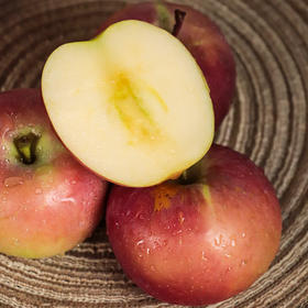 【山西好物】高原脆甜老苹果  4.5斤/8斤