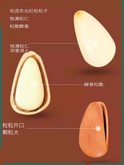 黑龙江特大野生东北手剥开口松子原味孕妇坚果 商品图2
