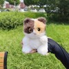 可爱卡通猫咪毛绒公仔挂件 坐姿款-掌中宝猫系列-15CM-混色（款式随机款） 商品缩略图2