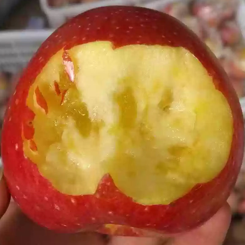 山西老树秦冠苹果 老品种苹果 纯甜粉面香浓~甜度高水分足，老少皆宜！