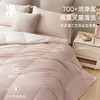 超值限量款白鹅绒被 商品缩略图3