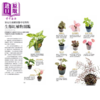 【中商原版】造景绿设计生态缸 蕨类 苔藓 观叶植物 打造生活中的微景观生态系	广濑泰治  台湾东贩	港台原版 商品缩略图3
