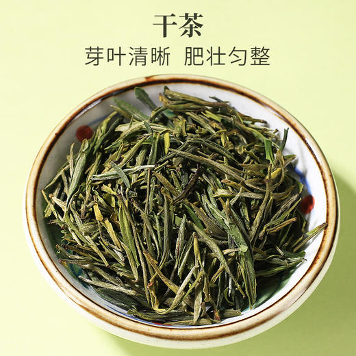 2025新茶上市徽六特二级霍山黄芽茶叶黄茶50g 商品图1