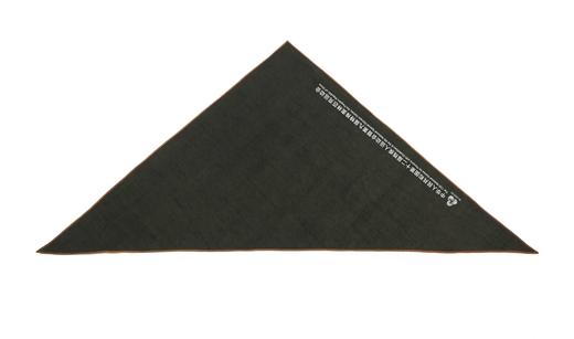 TANGY Collection天意精品文创围巾CL251425 商品图0