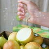 新疆库尔勒香梨  商品缩略图1
