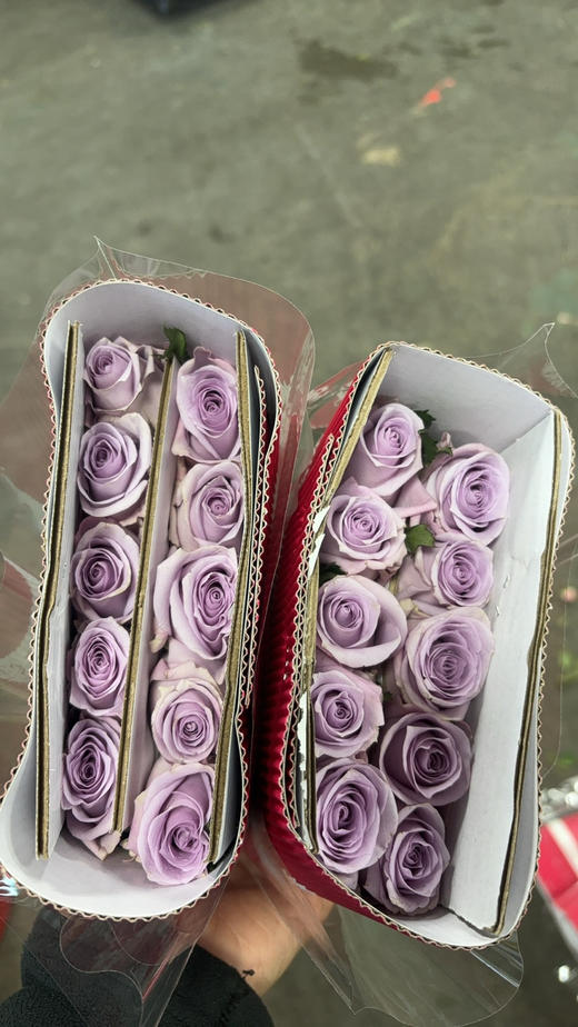 百盛美海洋之歌 商品图1