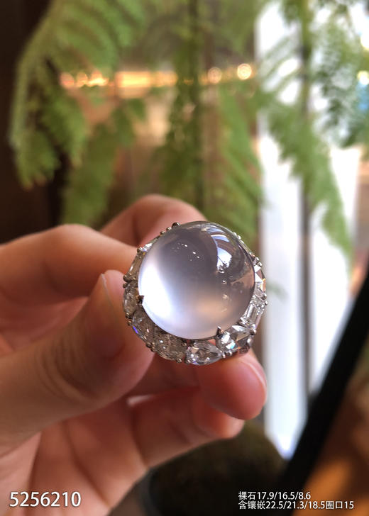 玻璃种蛋面戒指【5256210】具体价格微信咨询 商品图0