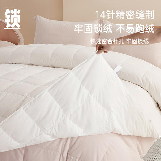 超值限量款70白鹅绒子母被 商品图4