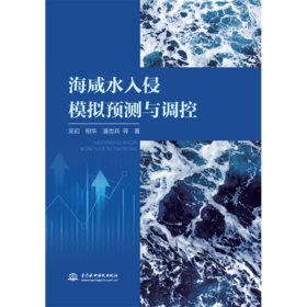 海咸水入侵模拟预测与调控